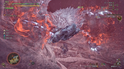 Monster Hunter Wilds_20250312214308