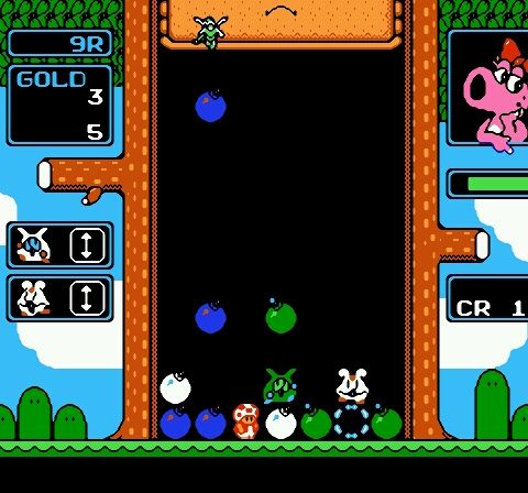 Wario no Mori (Japan)-18