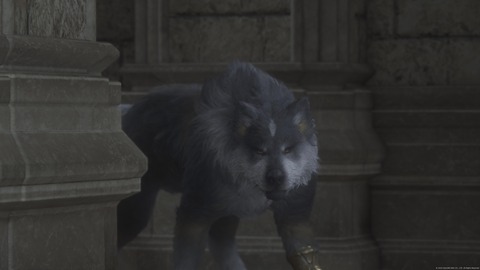 FINAL FANTASY XVI_20230715201253