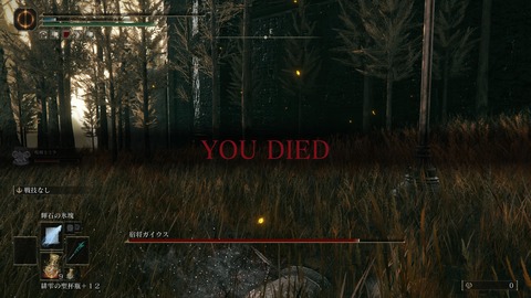 ELDEN RING_20240628230412