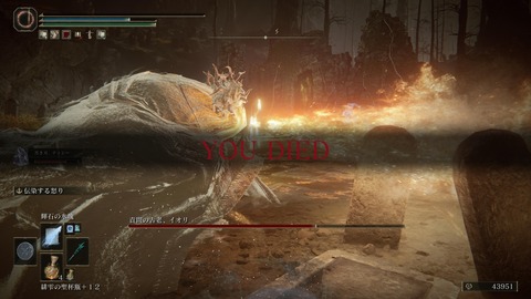 ELDEN RING_20240630173714