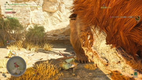 Monster Hunter Wilds Beta test_20241029222547