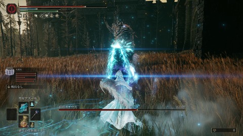 ELDEN RING_20240629000012