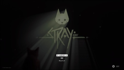 Stray_20220720220956
