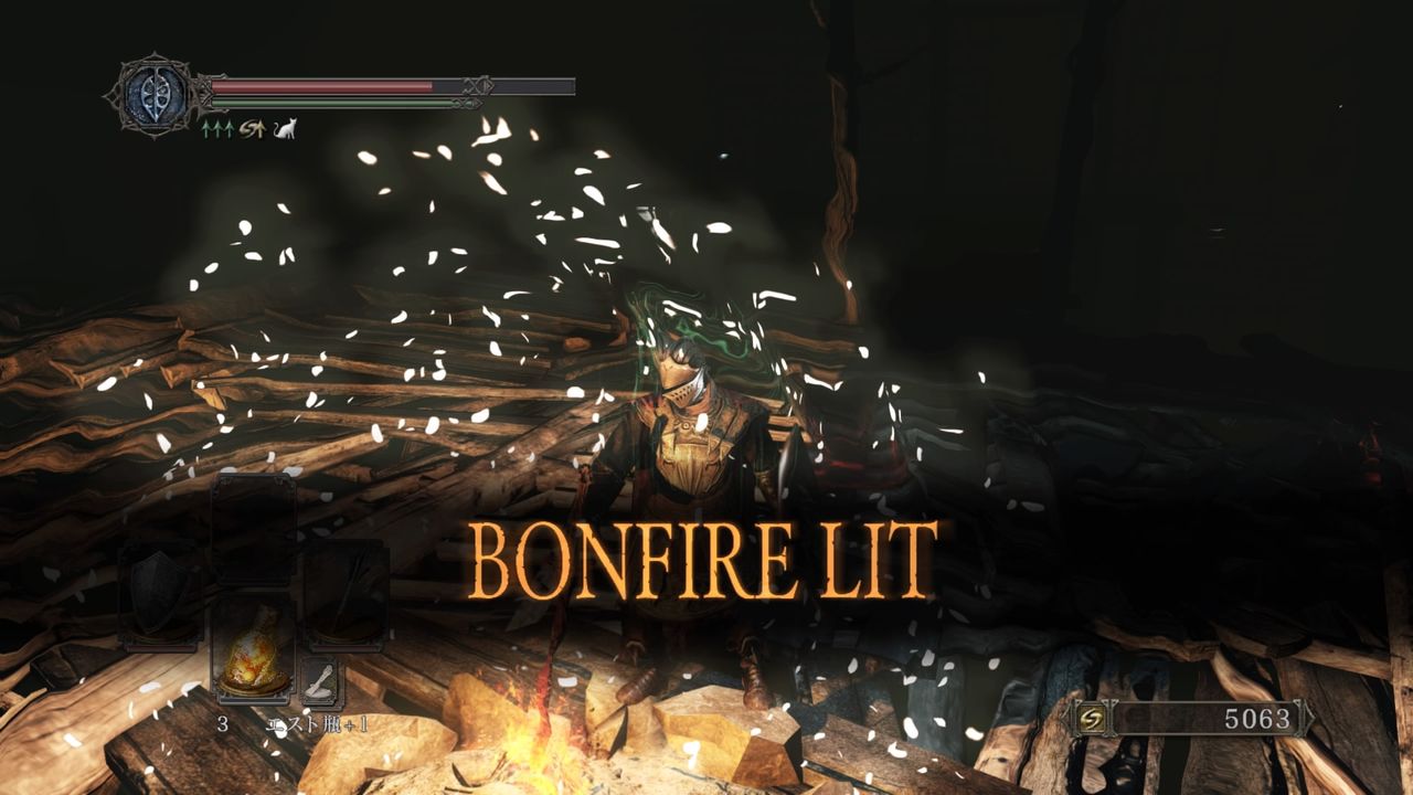 ダークソウル2 クズ底 暗くて怖い なぜか松明無しで特攻した結果 聖人墓所でネズミに蹂躙される様子もご覧くださいませ プレイ日記 もゲつぶ 元ゲーム情報サイト編集者のつぶやき