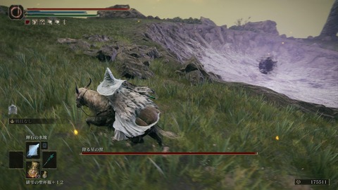 ELDEN RING_20240629233057