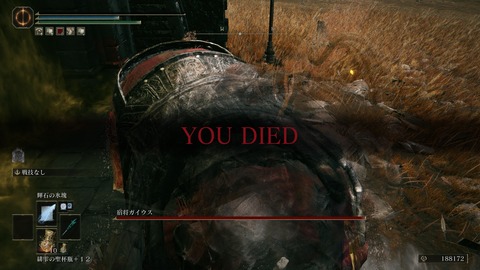 ELDEN RING_20240628230138