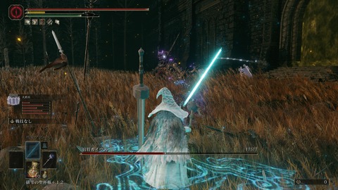 ELDEN RING_20240628233651