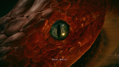 ELDEN RING_20240629225847