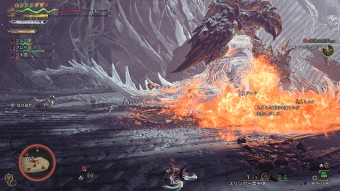 Monster Hunter Wilds_20250408231837