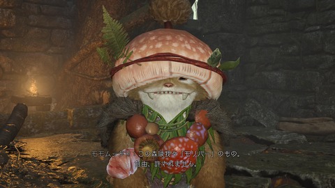 Monster Hunter Wilds_20250228232759