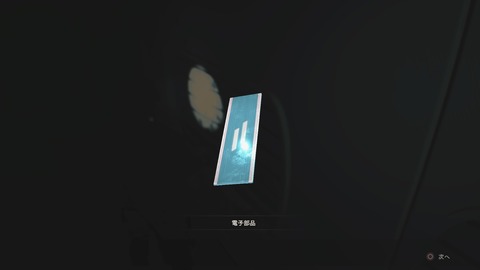 BIOHAZARD RE_2 Z Version_20190126221937