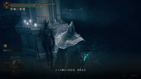 ELDEN RING_20240628080210