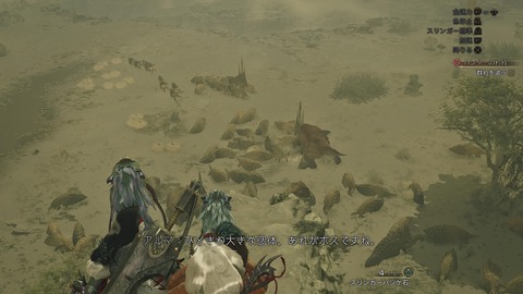 Monster Hunter Wilds_20250302210334