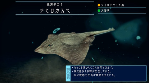 2020072323162300-9882643A338B36D2D2C67E4E13BE0E01