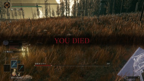 ELDEN RING_20240628233133