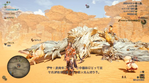 Monster Hunter Wilds_20250327225054