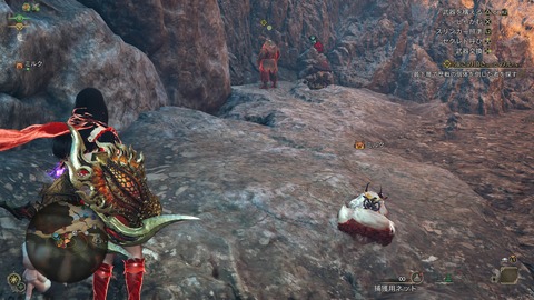 Monster Hunter Wilds_20250528205517