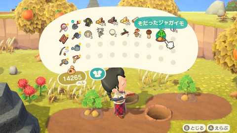 あつまれ どうぶつの森 (1)