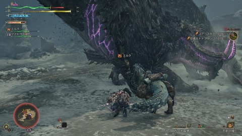 Monster Hunter Wilds_20250326222749