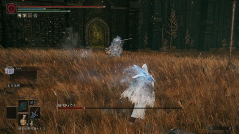 ELDEN RING_20240628234533