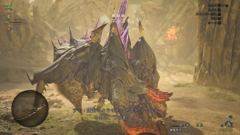 Monster Hunter Wilds_20250314222817