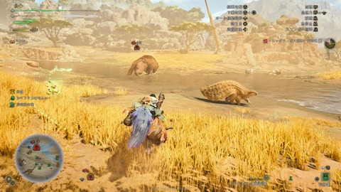 Monster Hunter Wilds Beta test_20241029222300