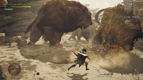 Monster Hunter Wilds Beta test_20241029220820