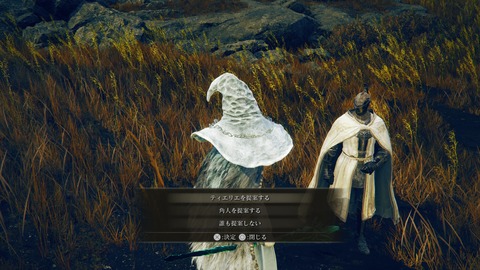 ELDEN RING_20240629222437