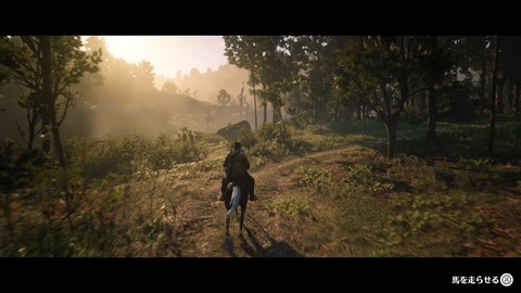 Red Dead Redemption 2_20210815143553