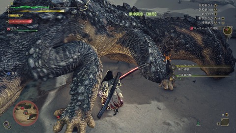 Monster Hunter Wilds_20250302214243