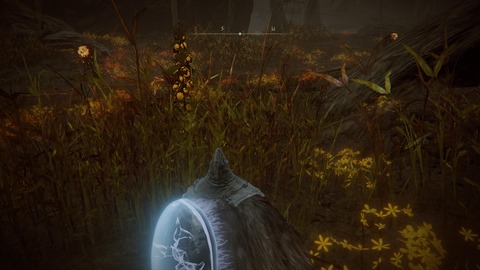 ELDEN RING_20240630175513