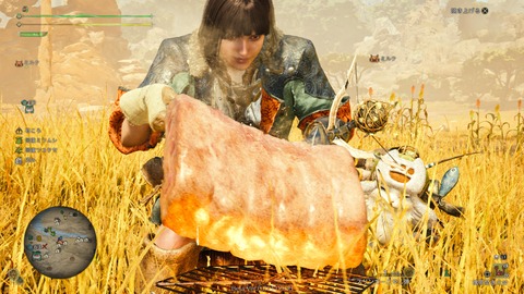 Monster Hunter Wilds Beta test_20241029222941