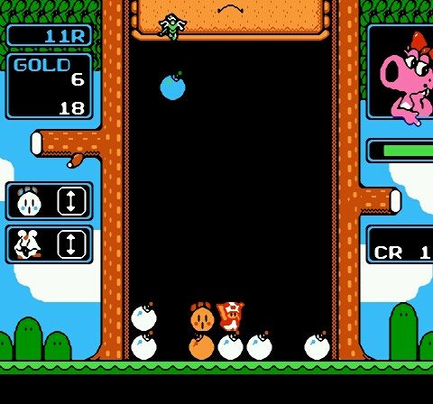 Wario no Mori (Japan)-22