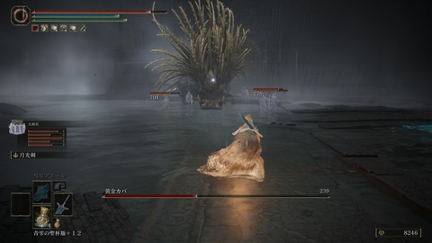 ELDEN RING_20240630145137