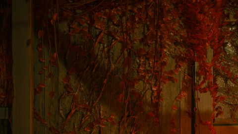 SILENT HILL f_20251011160935