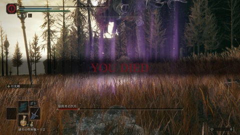 ELDEN RING_20240628235251