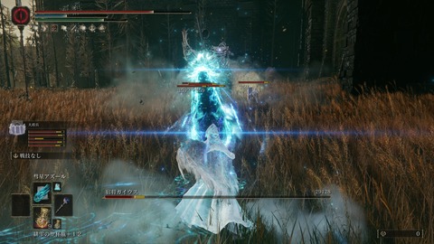 ELDEN RING_20240629000017