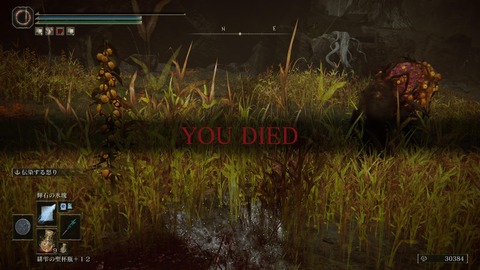 ELDEN RING_20240630174912