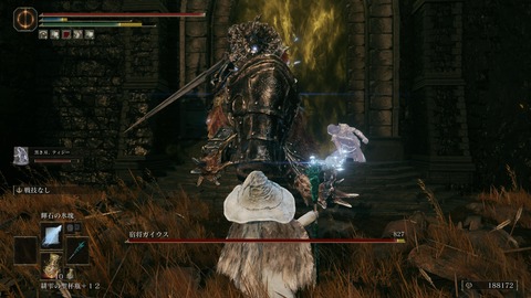 ELDEN RING_20240628230215