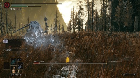 ELDEN RING_20240628234546