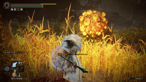 ELDEN RING_20240630174907