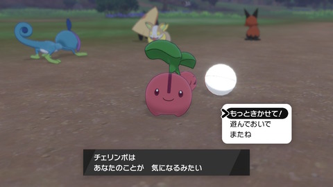 ポケモン剣盾 ワイルドエリアの楽しさは異常 ここをキャンプ地とする リストラされた子たちを思いつつカレーを食おうね プレイ日記02 もゲつぶ 元ゲーム情報サイト編集者のつぶやき