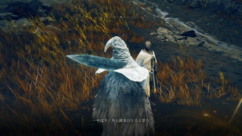 ELDEN RING_20240629223149