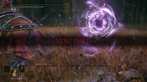 ELDEN RING_20240628233740