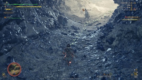 Monster Hunter Wilds Beta test_20241029215616