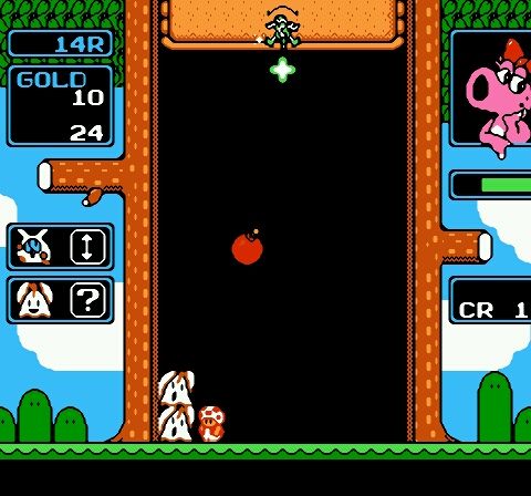 Wario no Mori (Japan)-27