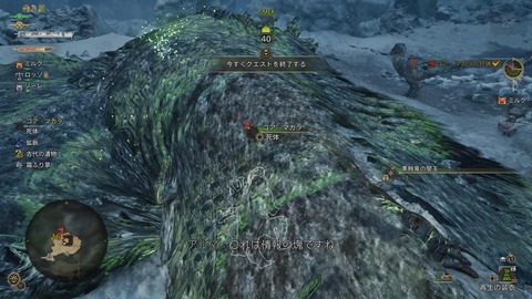 Monster Hunter Wilds_20250411230138