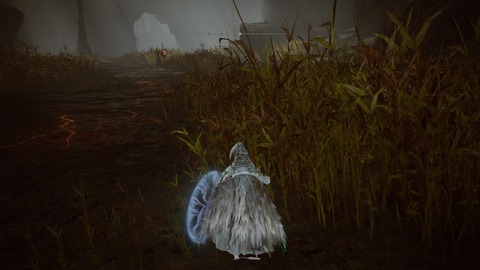 ELDEN RING_20240630174805