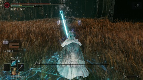 ELDEN RING_20240629000021